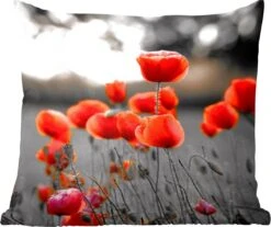 Sierkussen - Rode Klaprozen Tegen Zwarte Met Witte Achtergrond - Multicolor - 50 Cm X 50 Cm