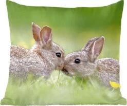 Sierkussen - Konijnen Baby Gras - Multicolor - 40 Cm X 40 Cm