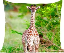 Sierkussen - Baby Giraffe Planten - Multicolor - 40 Cm X 40 Cm