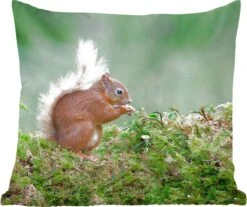 Sierkussen - Eekhoorn Bos Mos - Groen - 45 Cm X 45 Cm