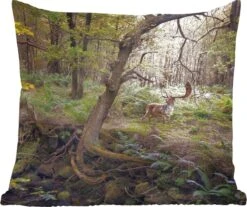 Sierkussens - Kussentjes Woonkamer - 60x60 Cm - Bosdier - Hert - Zon