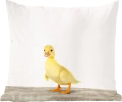 Sierkussens - Kussen - Eendje Dierenprint - 45x45 Cm - Kussen Van Katoen