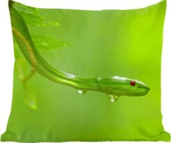 Sierkussens - Kussentjes Woonkamer - 60x60 Cm - Groene Slang Van Dichtbij