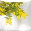 Sierkussens - Kussentjes Woonkamer - 50x50 Cm - Gele Mimosa Planten Met Groene Bladeren In Een Grote Pot -Pillowmonkey 1200x1007 16