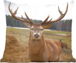 Sierkussen - Herten Natuur Weiland - Bruin - 50 Cm X 50 Cm