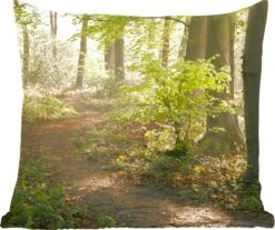 Sierkussens - Kussentjes Woonkamer - 40x40 Cm - Bos - Bomen - Pad - Zon - Planten - Bladeren - Natuur