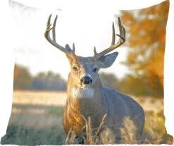 Sierkussens - Kussentjes Woonkamer - 40x40 Cm - Hert - Gras - Herfst - Gewei - Natuur - Dieren