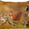 Sierkussens - Kussentjes Woonkamer - 40x40 Cm - Rode Eekhoorn In De Herfst -Pillowmonkey 1200x1007 48