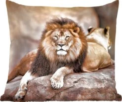 Sierkussens - Kussentjes Woonkamer - 60x60 Cm - Leeuw - Rots - Dieren