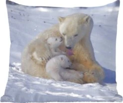 Sierkussen - Ijsberen Sneeuw - Multicolor - 40 Cm X 40 Cm