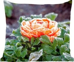 Sierkussen - Bloem Winter - Multicolor - 60 Cm X 60 Cm