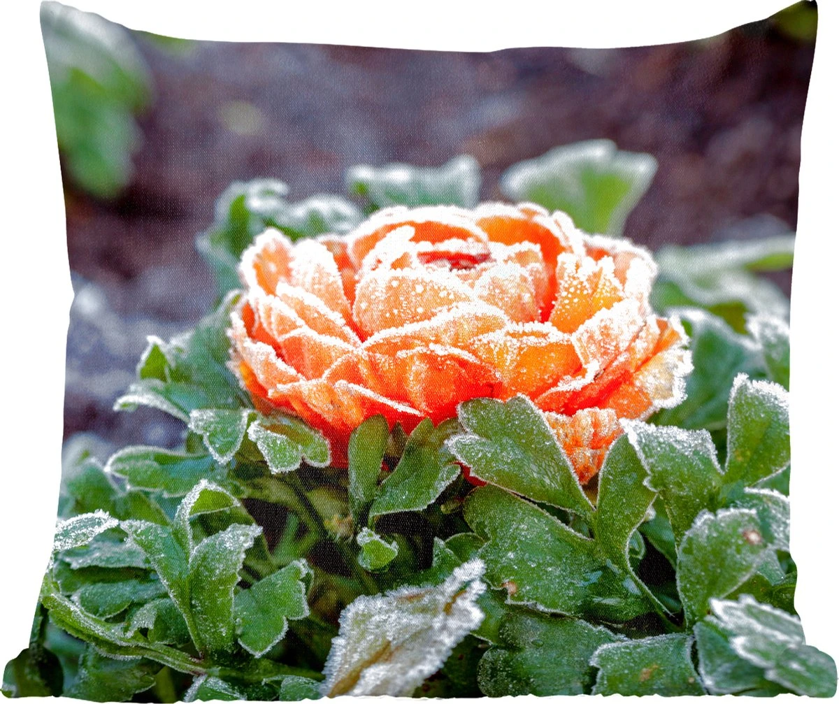 Sierkussen - Bloem Winter - Multicolor - 60 Cm X 60 Cm 3 Sierkussen - Bloem Winter - Multicolor - 60 Cm X 60 Cm