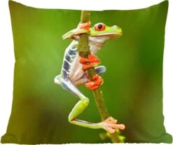 Sierkussens - Kussentjes Woonkamer - 60x60 Cm - Roodoogmakikikker In De Jungle