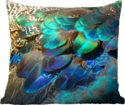 Sierkussens - Kussentjes Woonkamer - 50x50 Cm - Veren - Pauwveren - Pauw - Blauw - Kunst