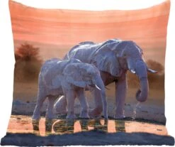 Sierkussen - Twee Olifanten Bij Zonsondergang - Multicolor - 60 Cm X 60 Cm