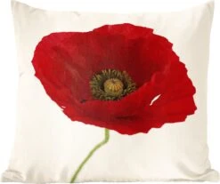 Sierkussens - Kussentjes Woonkamer - 60x60 Cm - Close-up Van Een Rode Klaproos