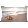 Sierkussens - Kussen - Zeeschelp Op Het Strand Bij Zonsondergang - 50x30 Cm - Kussen Van Katoen -Pillowmonkey 1200x1053 108