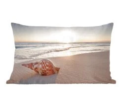 Sierkussens - Kussen - Zeeschelp Op Het Strand Bij Zonsondergang - 50x30 Cm - Kussen Van Katoen