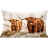 Sierkussens - Kussentjes Woonkamer - 50x30 Cm - Schotse Hooglander - Koe - Dieren - Natuur - Heide -Pillowmonkey 1200x1053 22
