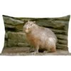 Sierkussens - Kussen - Een Capibara In Een Rotsachtige Omgeving - 50x30 Cm - Kussen Van Katoen