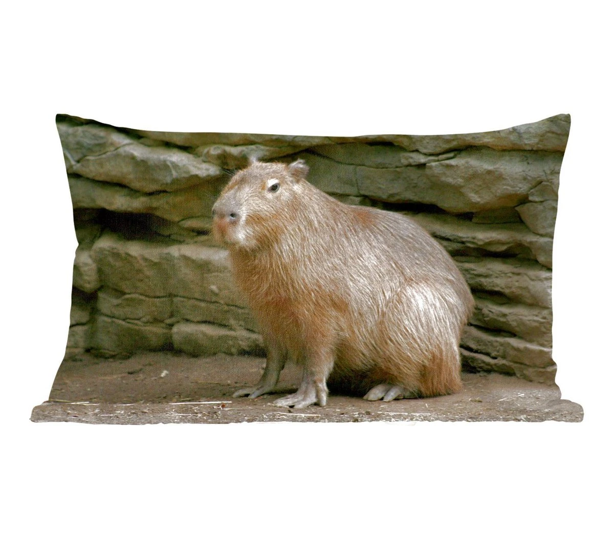 Sierkussens - Kussen - Een Capibara In Een Rotsachtige Omgeving - 50x30 Cm - Kussen Van Katoen 3 Sierkussens - Kussen - Een Capibara In Een Rotsachtige Omgeving - 50x30 Cm - Kussen Van Katoen