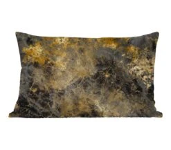 Sierkussens - Kussentjes Woonkamer - 60x40 Cm - Goud - Zwart - Abstract