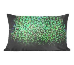 Sierkussens - Kussen - De Gedetailleerde Vacht Van Een Groene Pauw - 50x30 Cm - Kussen Van Katoen