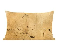 Sierkussens - Kussentjes Woonkamer - 60x40 Cm - Goud - Geel - Muur