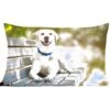 Sierkussen Honden Voor Binnen - Labrador Retriever Op Een Bankje - 60x40 Cm - Rechthoekig Binnenkussen Van Katoen