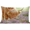Sierkussens - Kussen - Grazende Schotse Hooglander - 50x30 Cm - Kussen Van Katoen -Pillowmonkey 1200x1053 99
