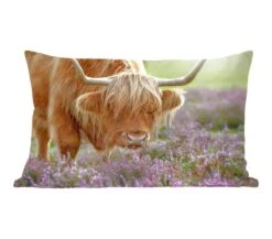 Sierkussens - Kussen - Grazende Schotse Hooglander - 50x30 Cm - Kussen Van Katoen