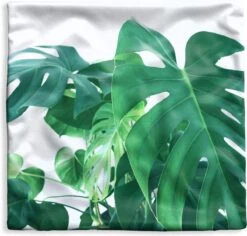 Kussenhoes 40x40 Cm - Enorme Botanische Bladeren Van De Gatenplant - Katoen / Polyester - Voor Binnen