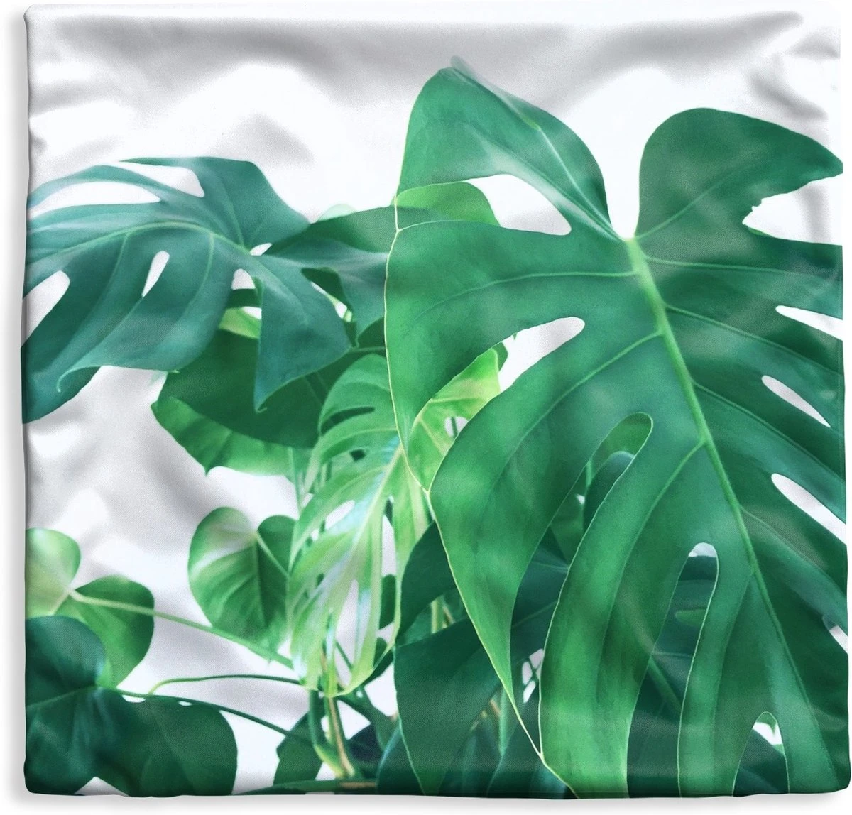 Kussenhoes 40x40 Cm - Enorme Botanische Bladeren Van De Gatenplant - Katoen / Polyester - Voor Binnen 3 Kussenhoes 40x40 Cm - Enorme Botanische Bladeren Van De Gatenplant - Katoen / Polyester - Voor Binnen