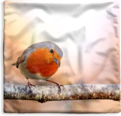 Kussenhoes 40x40 Cm - Roodborst - Tak - Boom - Katoen / Polyester - Voor Binnen
