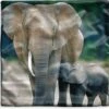 Kussenhoes 40x40 Cm - Baby Olifant Die Gevoed Wordt Door Zijn Moeder - Katoen / Polyester - Voor Binnen -Pillowmonkey 1200x1150 20