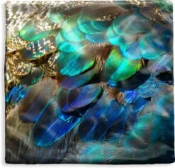 Kussenhoes 40x40 Cm - Veren - Pauwveren - Pauw - Blauw - Kunst - Katoen / Polyester - Voor Binnen