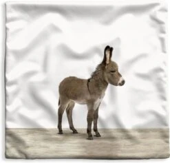 Kussenhoes 45x45 Cm - Dieren - Ezel - Grijs - Katoen / Polyester - Voor Binnen