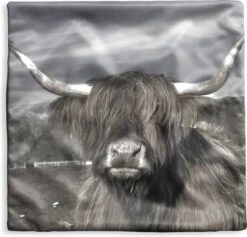 Kussenhoes 40x40 Cm - Schotse Hooglander - Portret - Zwart - Wit - Katoen / Polyester - Voor Binnen