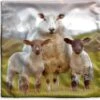 Kussenhoes 45x45 Cm - Schapen - Gras - Portret - Katoen / Polyester - Voor Binnen -Pillowmonkey 1200x1151 117