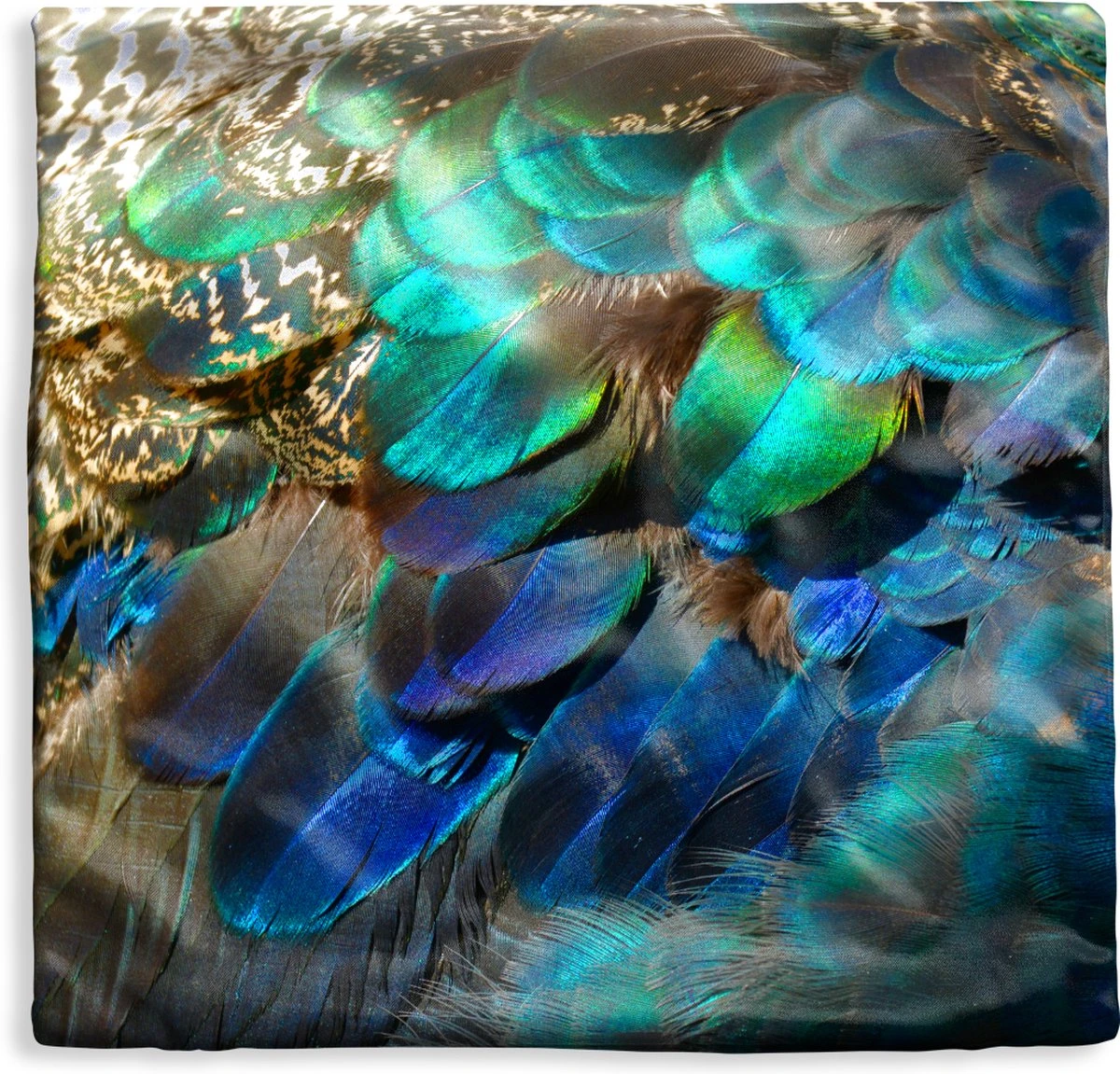 Kussenhoes 45x45 Cm - Veren - Pauwveren - Pauw - Blauw - Kunst - Katoen / Polyester - Voor Binnen 3 Kussenhoes 45x45 Cm - Veren - Pauwveren - Pauw - Blauw - Kunst - Katoen / Polyester - Voor Binnen