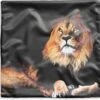 Kussenhoes 40x40 Cm - Leeuw - Zwart - Wilde Dieren - Katoen / Polyester - Voor Binnen 1 Kussenhoes 40x40 Cm - Leeuw - Zwart - Wilde Dieren - Katoen / Polyester - Voor Binnen -Pillowmonkey 1200x1151 146