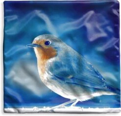 Kussenhoes 40x40 Cm - Roodborstje - Blauw - Sneeuw - Katoen / Polyester - Voor Binnen