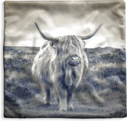 Kussenhoes 60x60 Cm - Schotse Hooglander - Dieren - Wolken - Koe - Natuur - Katoen / Polyester - Voor Binnen