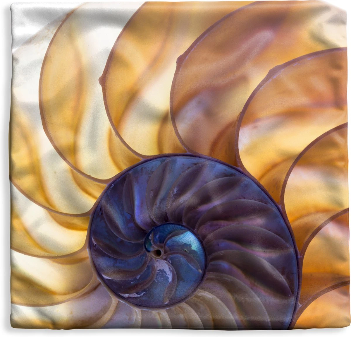 Kussenhoes 40x40 Cm - Schelp - Blauw - Zee - Katoen / Polyester - Voor Binnen 3 Kussenhoes 40x40 Cm - Schelp - Blauw - Zee - Katoen / Polyester - Voor Binnen