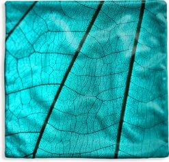 Kussenhoes 40x40 Cm - Bladskelet Turquoise Blad - Katoen / Polyester - Voor Binnen