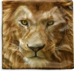 Kussenhoes 45x45 Cm - Portret - Afrika - Leeuw - Katoen / Polyester - Voor Binnen