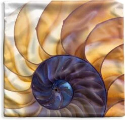 Kussenhoes 50x50 Cm - Schelp - Blauw - Zee - Katoen / Polyester - Voor Binnen