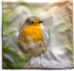 Kussenhoes 40x40 Cm - Vogels - Roodborstje - Boom - Katoen / Polyester - Voor Binnen