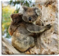 Kussenhoes 50x50 Cm - Koala's - Kind - Boom - Kinderen - Jongetje - Meiden - Katoen / Polyester - Voor Binnen