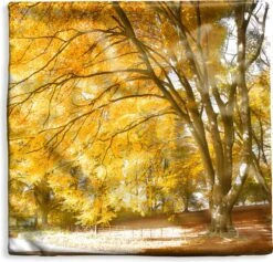 Kussenhoes 40x40 Cm - Gele Bladeren In De Bossen Van Het Engelse Nationaal Park New Forest - Katoen / Polyester - Voor Binnen